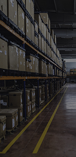 AGV Forklift